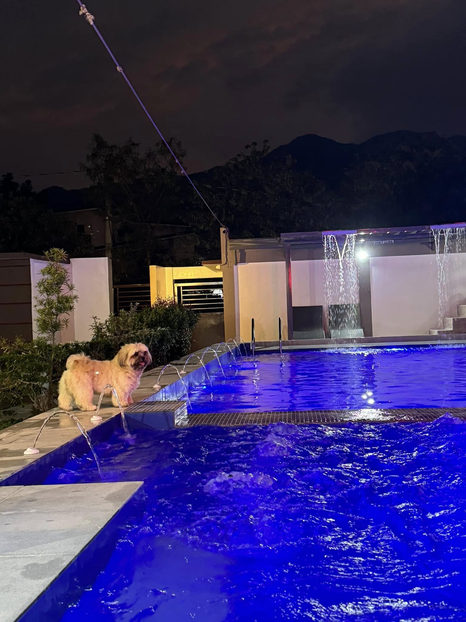Resort pool